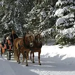 Apartament In Seefeld Near Rosshuette
