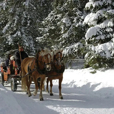 Appartamento In Seefeld Near Rosshuette