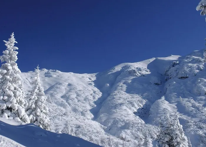 In Seefeld Near Rosshuette Apartament *