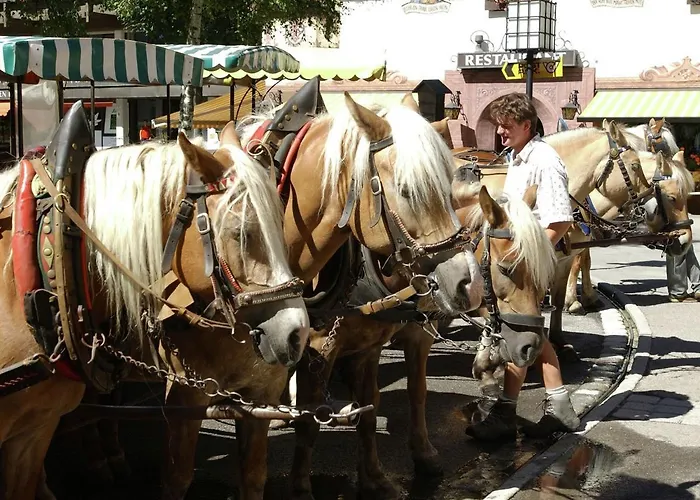 شقة In Seefeld Near Rosshuette سيفيلد ان تيرول