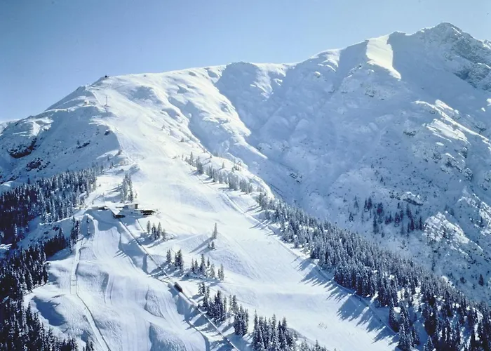 Apartament In Seefeld Near Rosshuette *