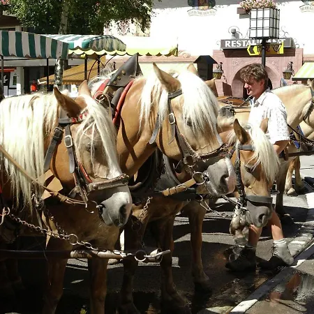 Apartment In Seefeld Near Rosshuette Seefeld in Tirol